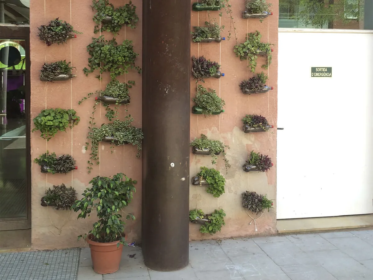 Col·laboració amb l'Escola Barrufet en un Projecte de Horts Urbans